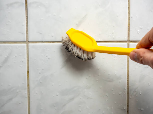 Best Health and Safety Mold Remediation in Edina, MO