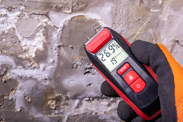 Best Localized Mold Remediation (e.g., coastal areas, humid climates) in Edina, MO