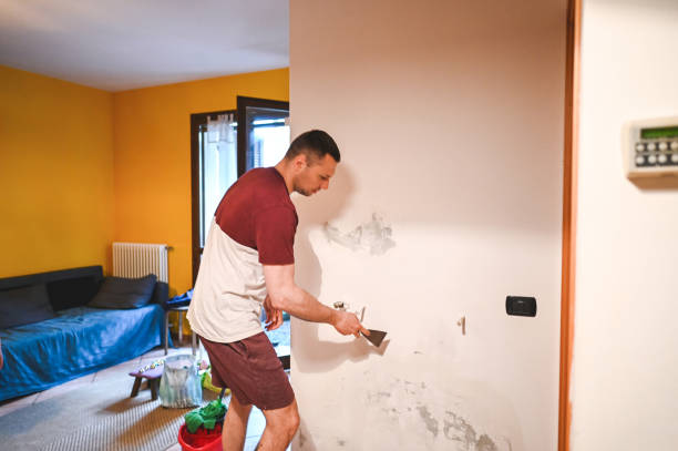 Best Insurance-Related Mold Remediation in Edina, MO